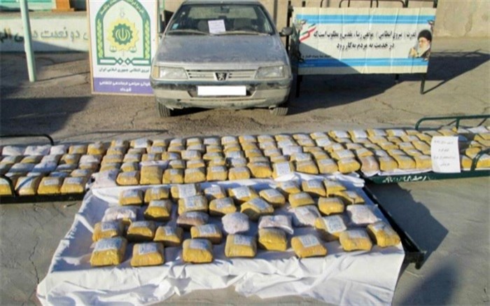 باغات کردستان ۴۵۰ هکتار افزایش یافت