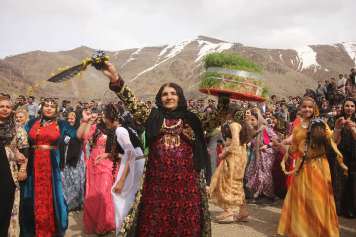 بیش از ۵۰۰ هزار تن گندم در کردستان تولید شد