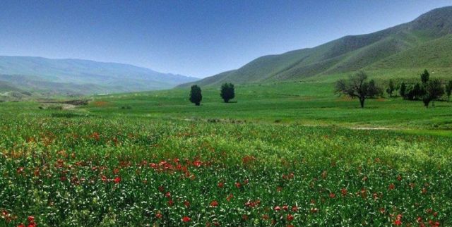 هوای کردستان در روز طبیعت صاف و پایدار است