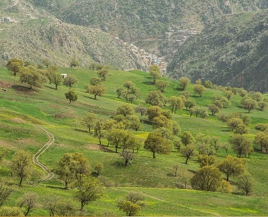 طبیعت بهاری مسیر کامیاران به سروآباد