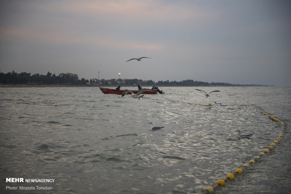 آبشناسی دریای خزر CASPCOM روسیه_آستراخان