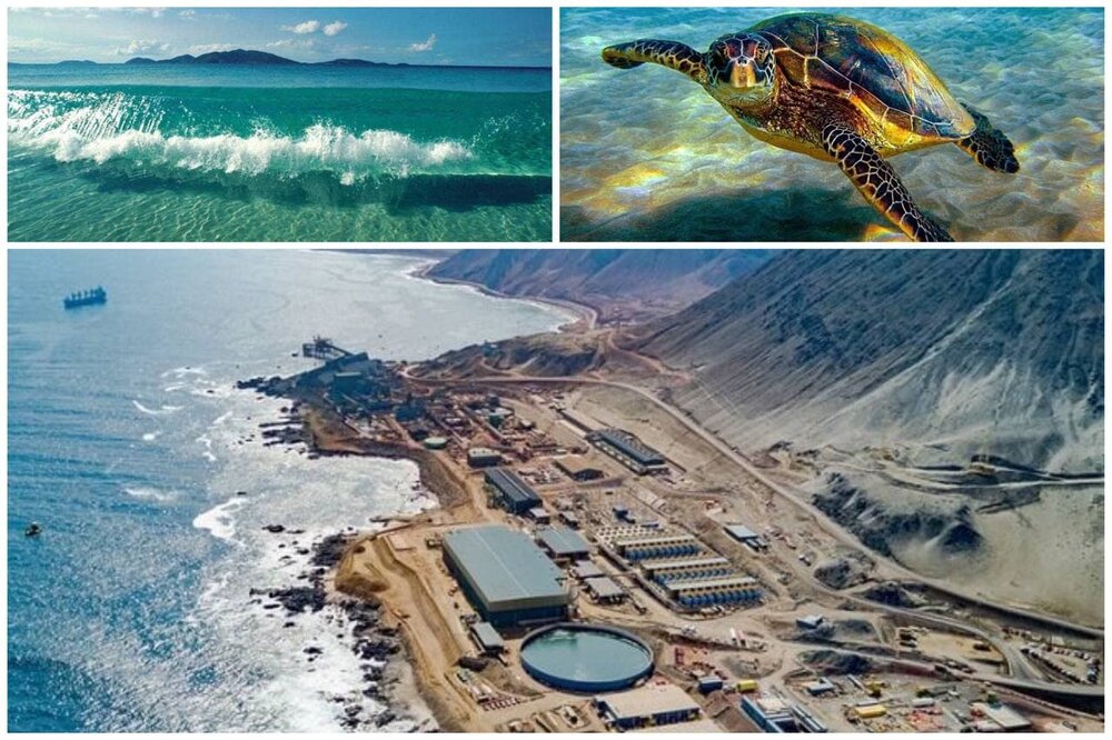 آبشیرینکنها خلیج فارس راتهدید میکنند/ تغییر بافت جمعیتی آبزیان