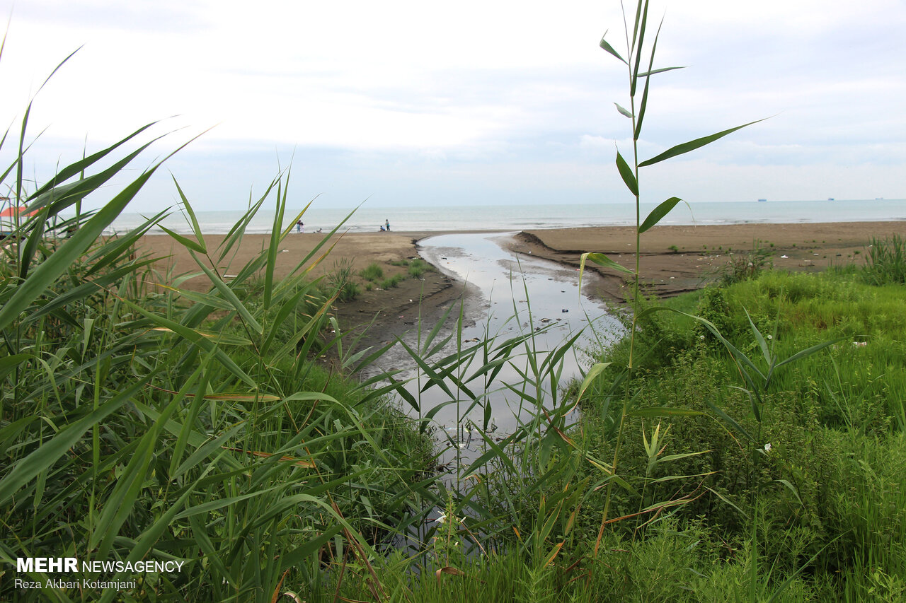 آبیاری باغات حاشیه رودخانه اهر با پساب تصفیهخانه فاضلاب