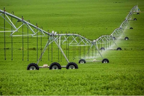 آبیاری نوین؛ راهکار کردستان برای عبور از تنش آبی در حوزه کشاورزی