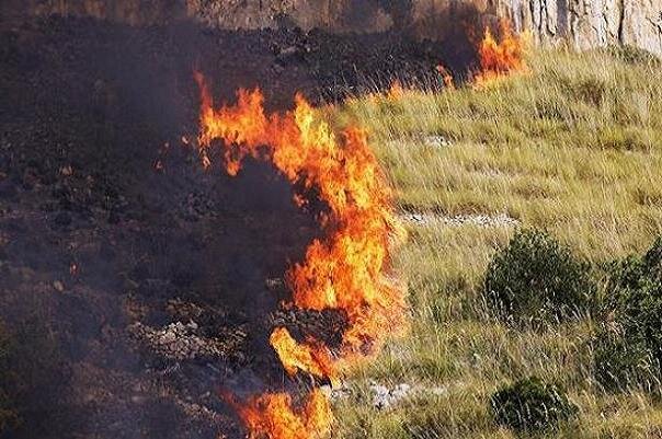 آتش سوزی جنگل های سیسیل ایتالیا مناطق مسکونی را تهدیدمی‌کند