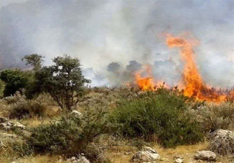 آتش سوزی در سواحل پارکملی دریاچه ارومیه مهار شد