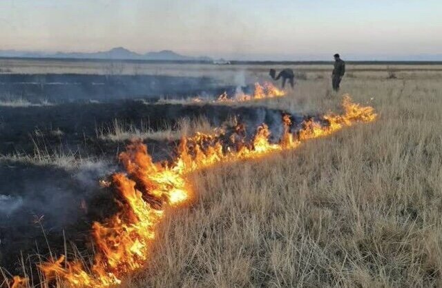 آتش‌سوزی در جنوب پارک ملی دریاچه ارومیه مهار شد