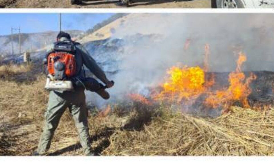 آتش‌سوزی دوباره تالاب زریبار مهار شد