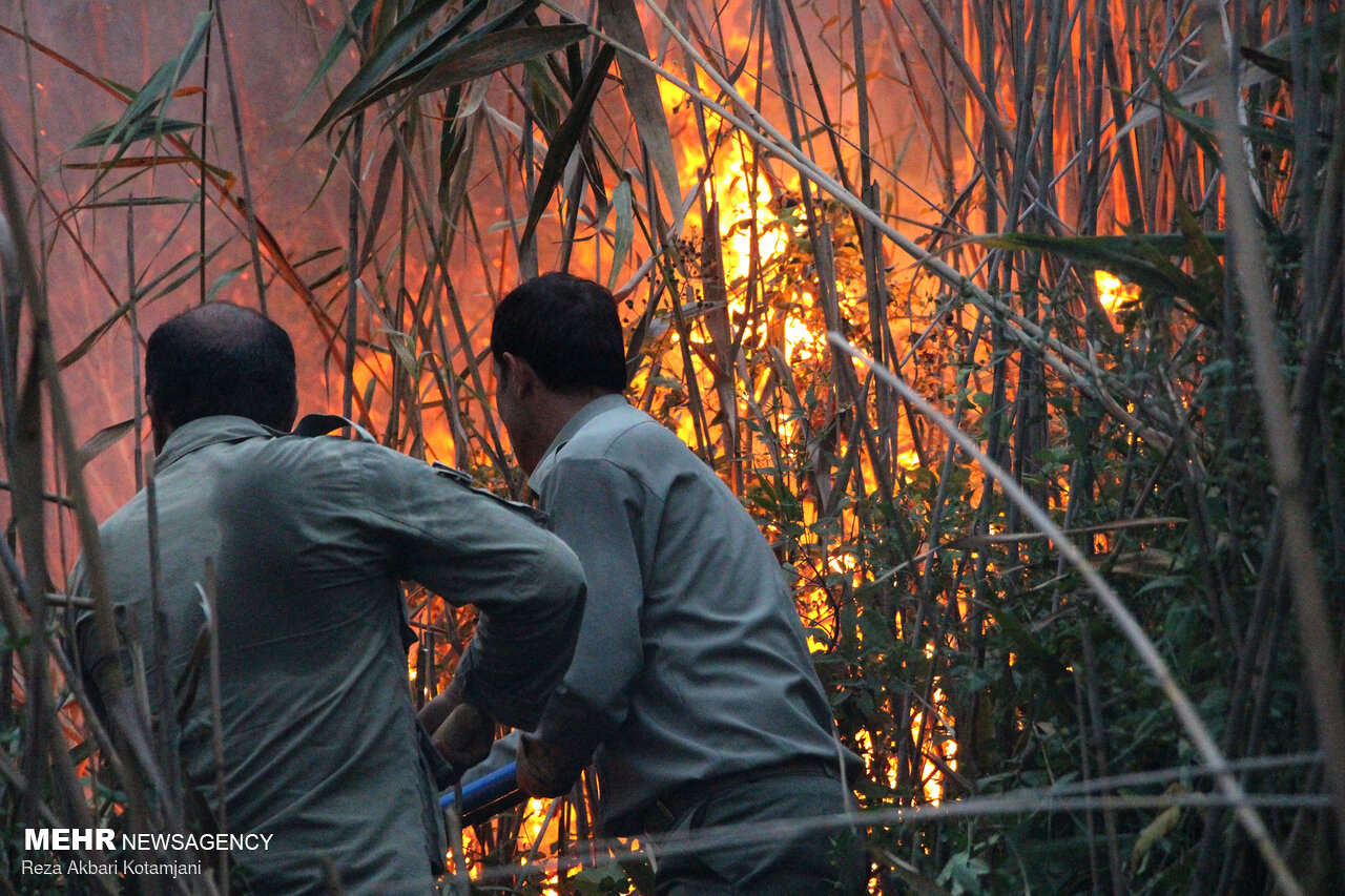 آخرین وضعیت آتش سوزی تالاب انزلی/ نابودی ۷ هکتار از اراضی