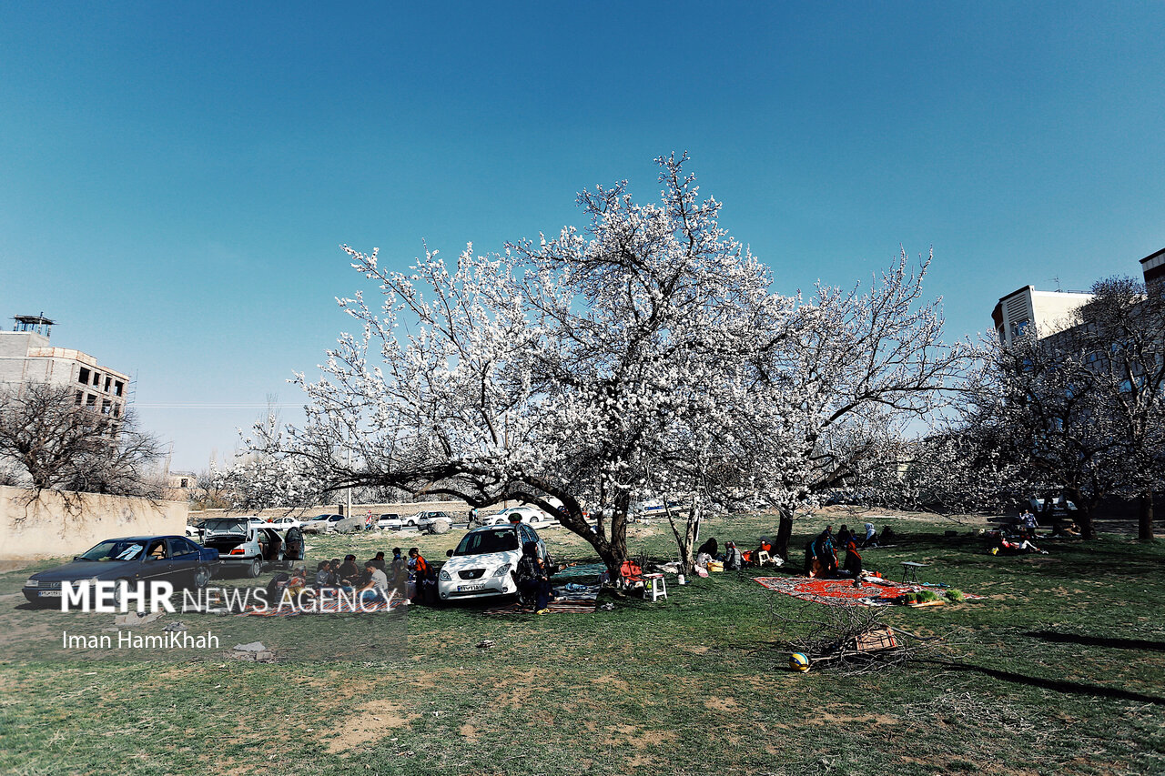 آخرین پیش بینی وضع هوای کشور در روز طبیعت