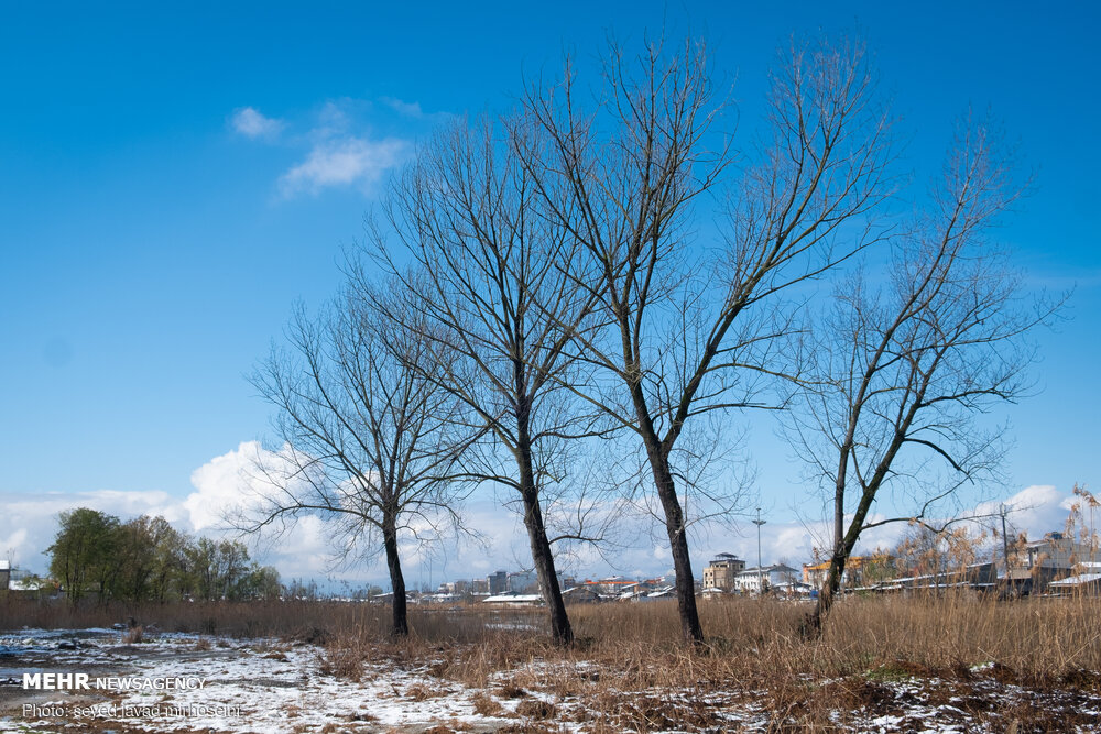 آسمان کشور روز طبیعت صاف اما همراه با وزش باد شدیداست