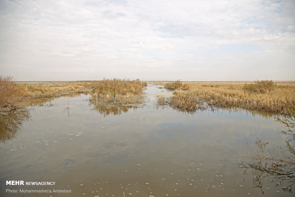 آسیب جدی فاضلاب بیش از ۲۰۰واحد صنعتی چرمشهر به
تالاب«بندعلیخان »