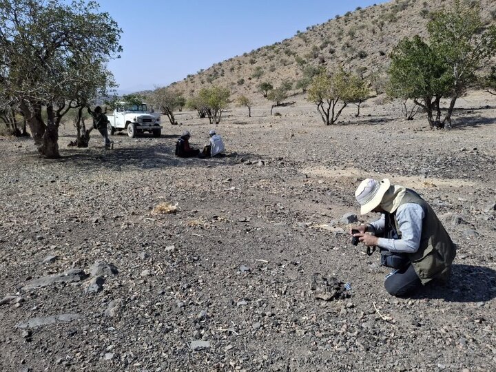 آغاز طرح پژوهشی مستندسازی محوطههای باستانی ذوب فلز در پاسارگاد