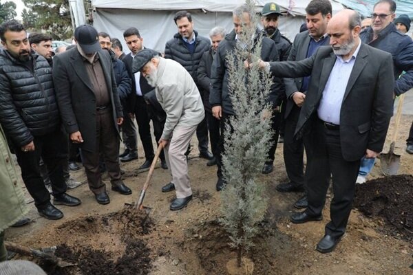 آغاز کاشت ۲۵ هزار نهال در بوستان چیتگر با پویش «احیا چیتگر»