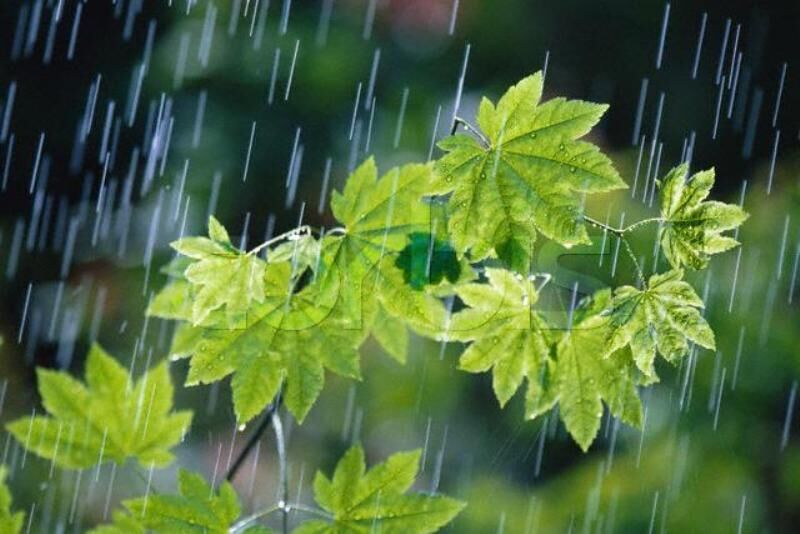آمادگی استان تهران برای مقابله با بارش احتمالی