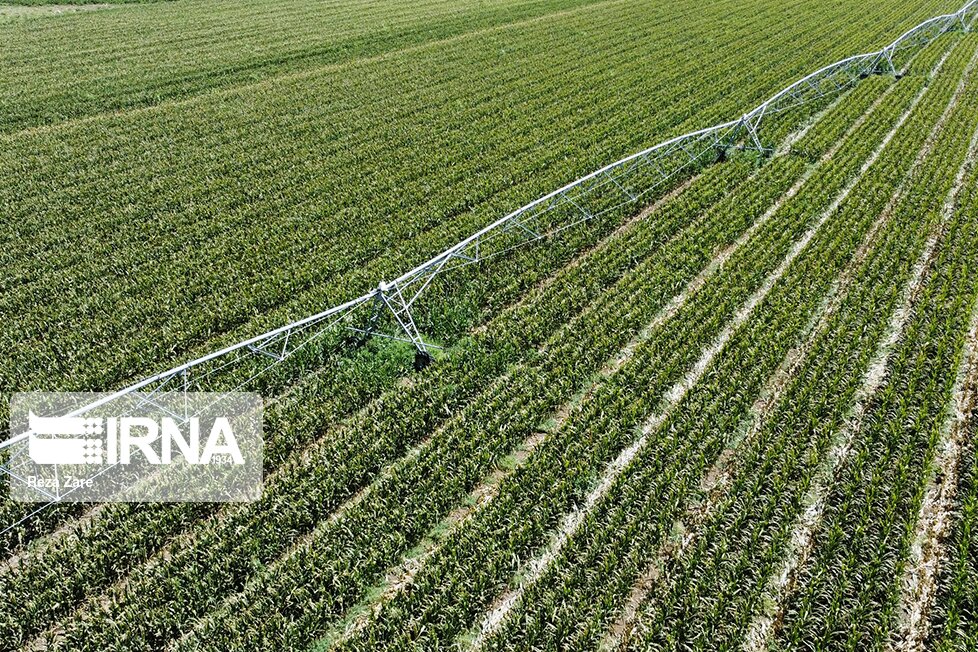 ابلاغ آیین‌نامه بهداشت کشاورزی با تصویب وزیر بهداشت