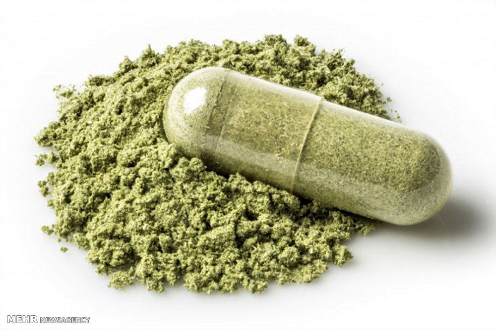 اثرات مخرب «گُل» در ایران از تمام مخدرهای دیگر بالاتر است