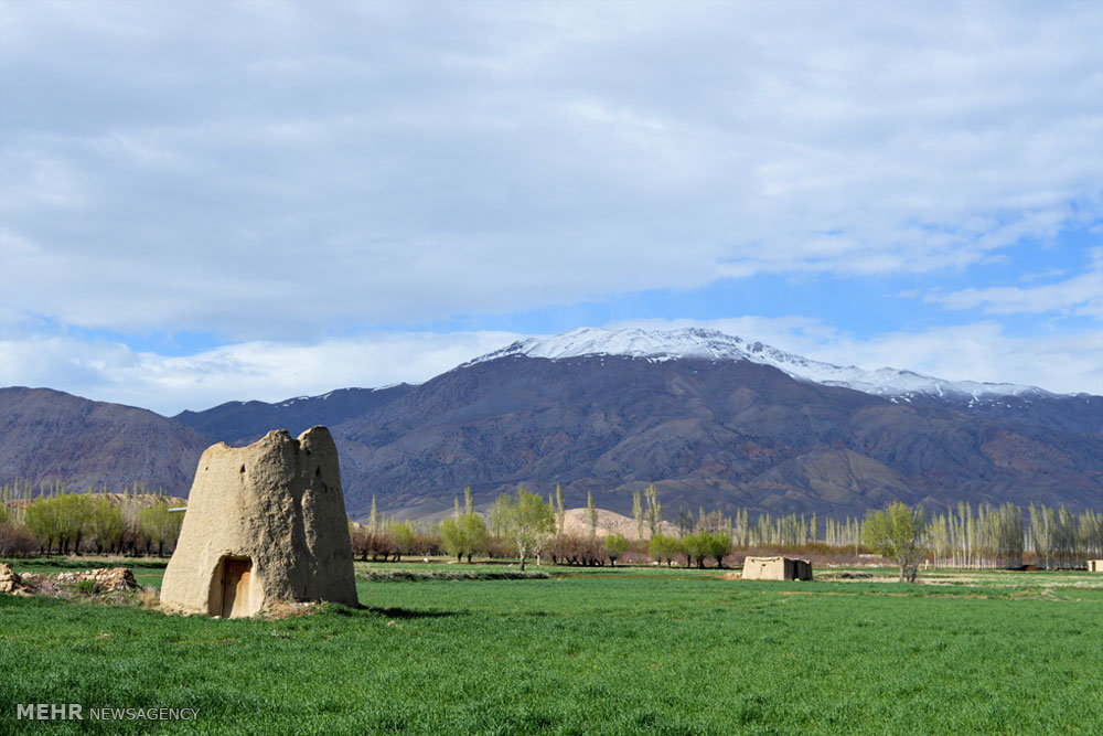 اجازه تعرض به «شاهوار» را نخواهیم داد/ پیگیری مطالبات
مردمی