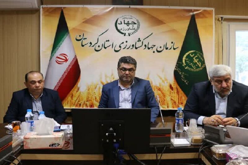 اجرای کشاورزی قراردادی مهمترین مشوق طرح الگوی کشت است