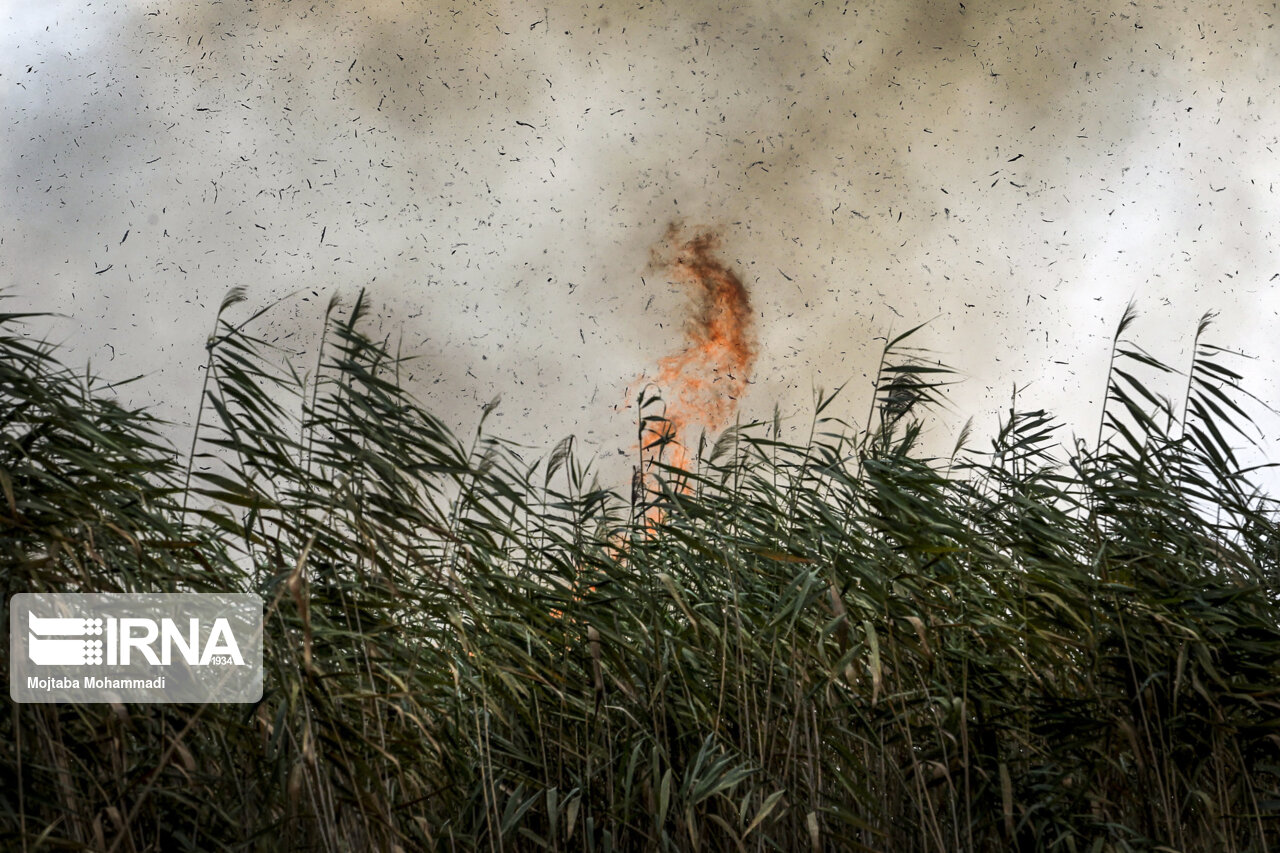 احتمال صدور مجوز اطفای حریق هورالعظیم در عراق تا هفته آینده