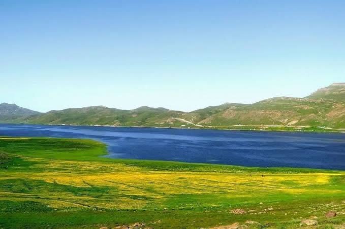 احیای تالاب انزلی نیازمند نگاه ملی