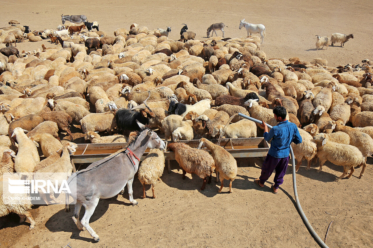 اختصاص بیش از ۱۰۰ میلیارد تومان تسهیلات اشتغالزایی به عشایر پایتخت