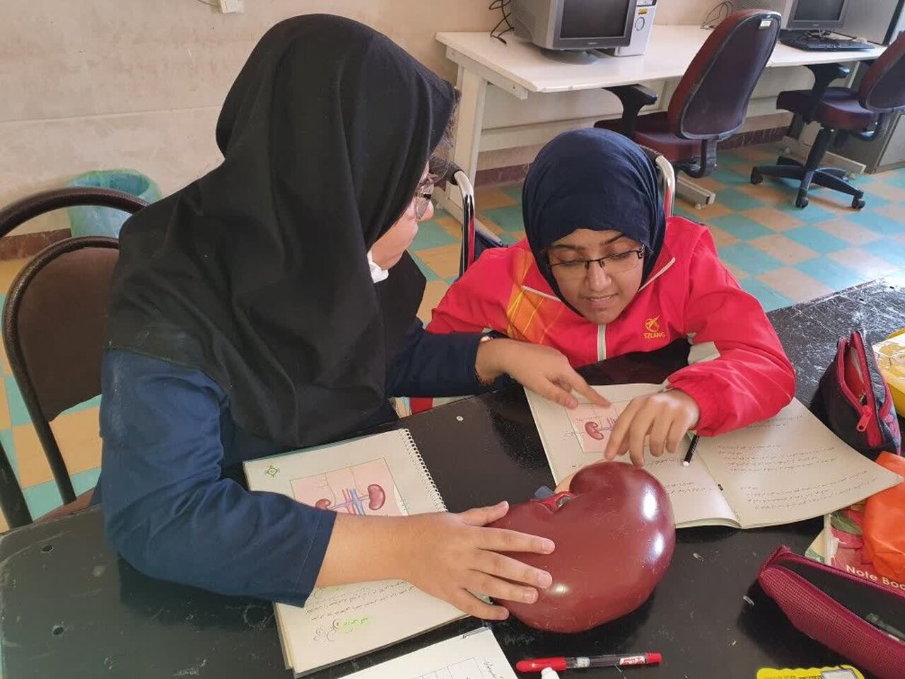 ارائه خدمات رایگان توانبخشی به ۳۷ دانشآموز با نیاز ویژه کردستان