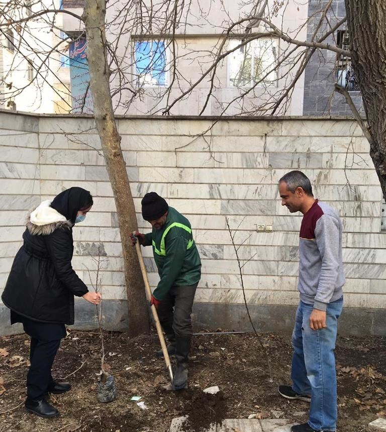 از اهدا نهال رایگان تا تعمیر آبگرمکن های خورشیدی در پایتخت