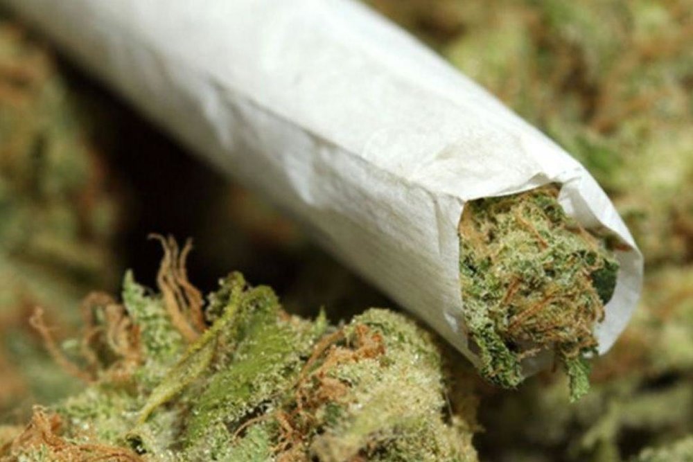 از گل تا کمیکال؛ مخدرهایی که ذهن و بدن را می‌سوزانند