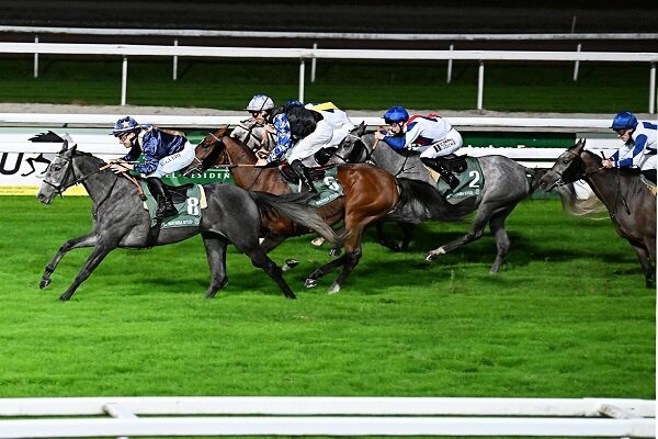 اسب ایرانی در مسابقه جایزه بزرگ فرانسه اول شد