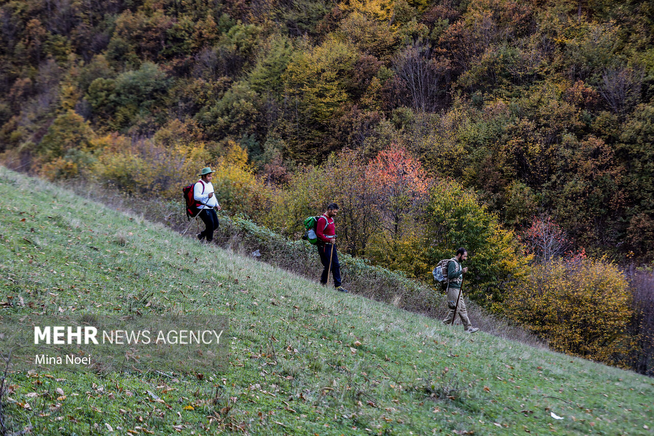 استاد دانشگاه: بدون مشارکت جوامع محلی حفاظت از محیط زیست ممکن نیست