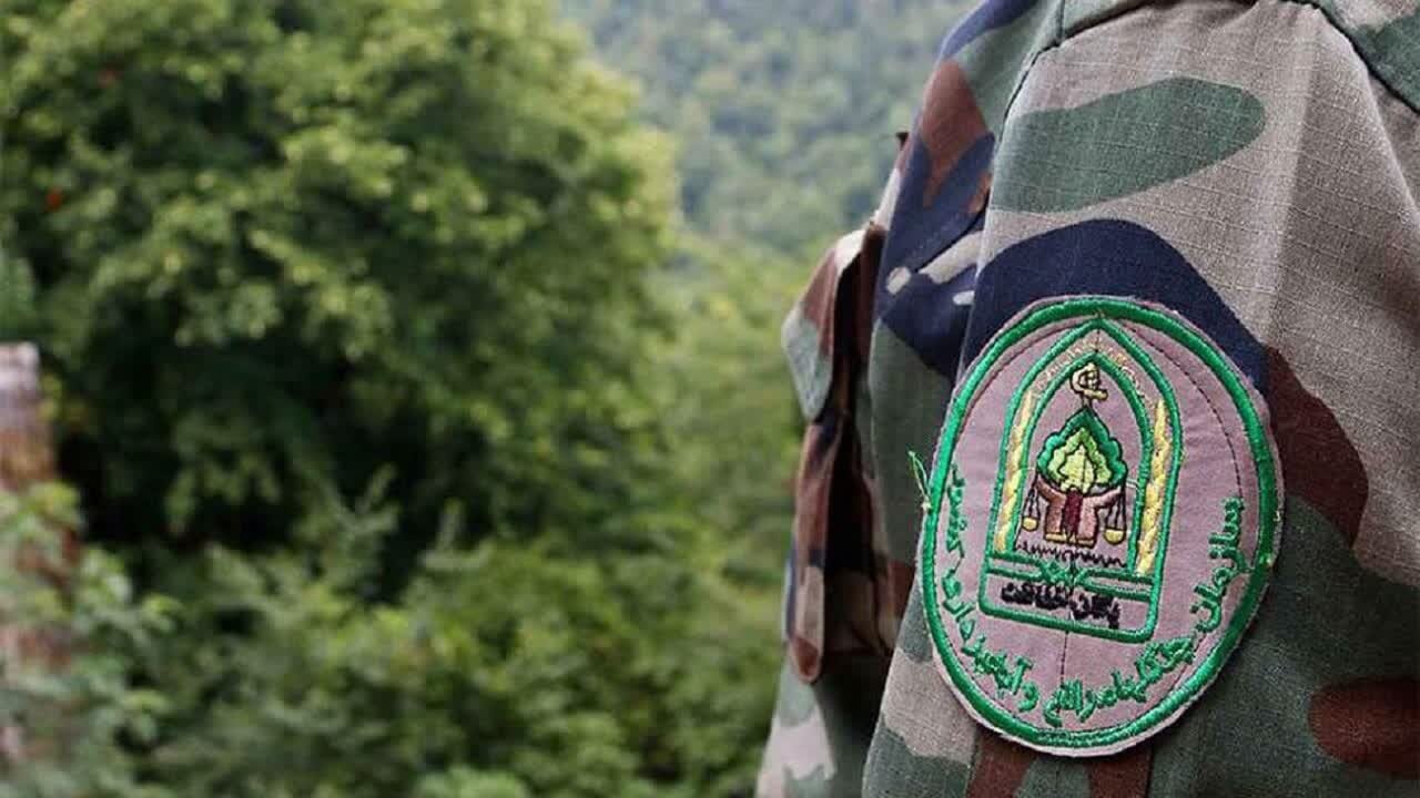 استان اصفهان تنها ۱۲۰ جنگلبان دارد؛ ضرورت افزایش نیروهای حافظ طبیعت