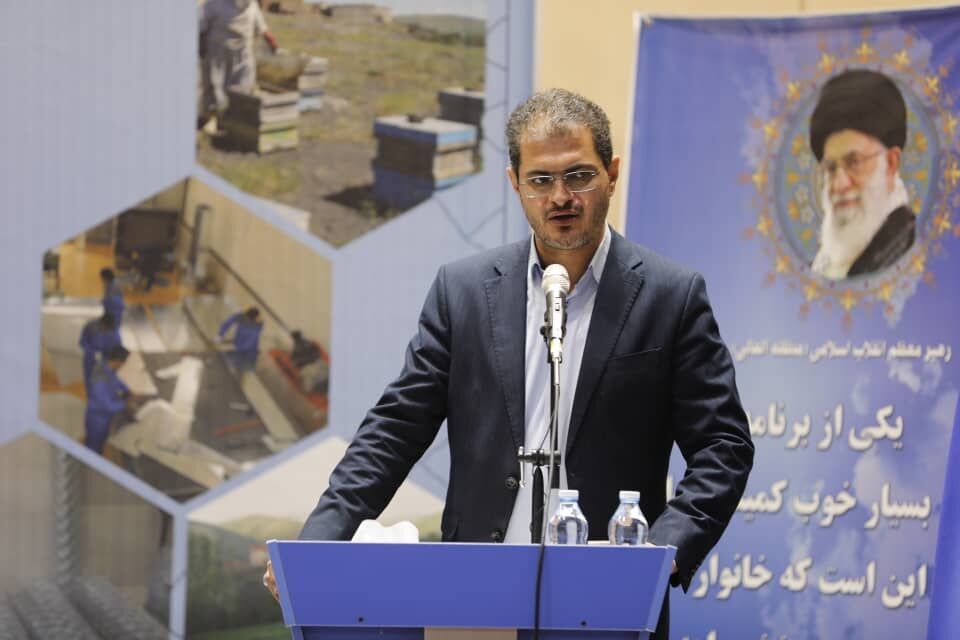 استاندار کردستان: کمیته امداد در زمینه اشتغال الگوی خوبی برای دولتها بوده است