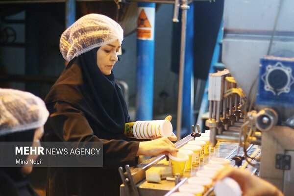 اشتغال زنان یک پنجم مردان است؛ ۷۵ درصد فعالیت زنان در بخش خصوصی