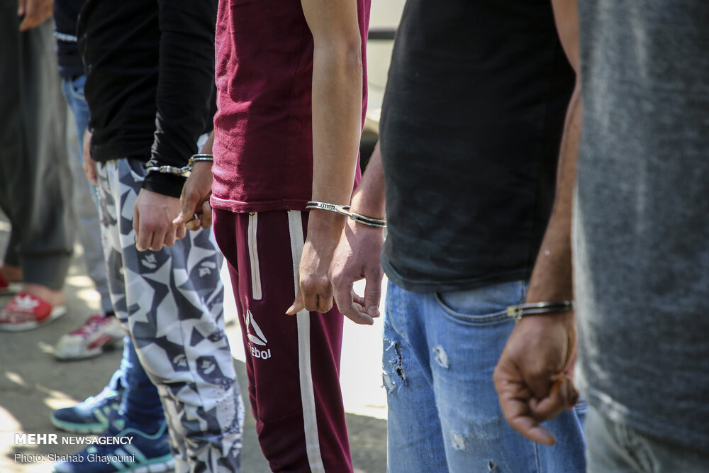 اشرار شمیران نو دستگیر شدند