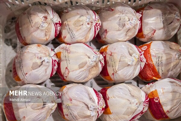 اصغری: قیمت مرغ در آذربایجان غربی میانگین به ۲۰۰ هزار تومان رسید
