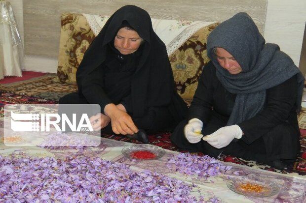 اعطای تسهیلات به بانوان توانمند در حوزه محیط زیست