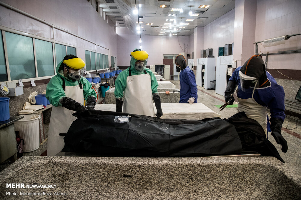 افت و خیز قربانیان ویروس منحوس در پایتخت