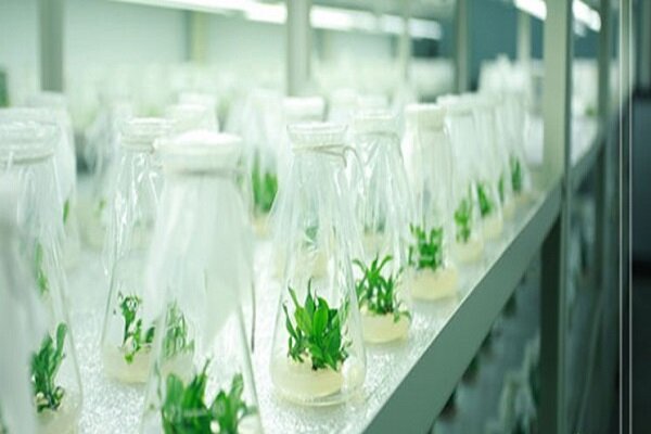 افتتاح نمایشگاه فناوری‌های محرومیت‌زدا در مصلای
تهران