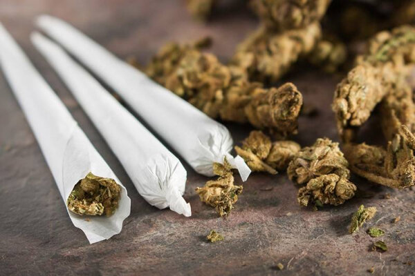 افزایش جرم در ایالت‌های مصرف‌کننده گل