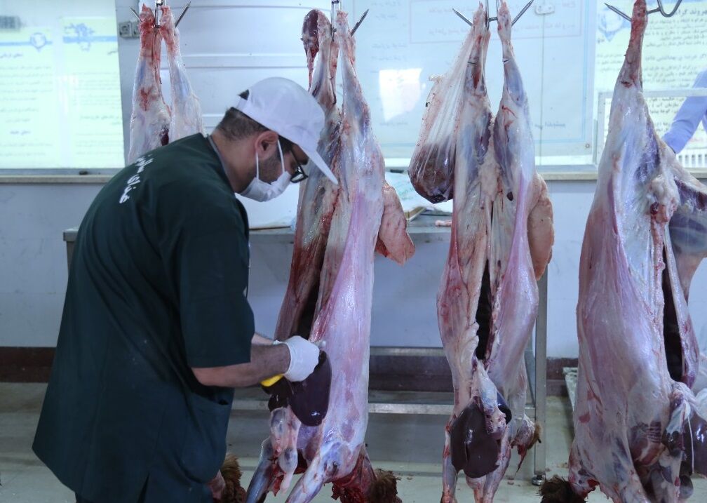 افزایش قیمت گوشت گوساله در کردستان باید ساماندهی شود
