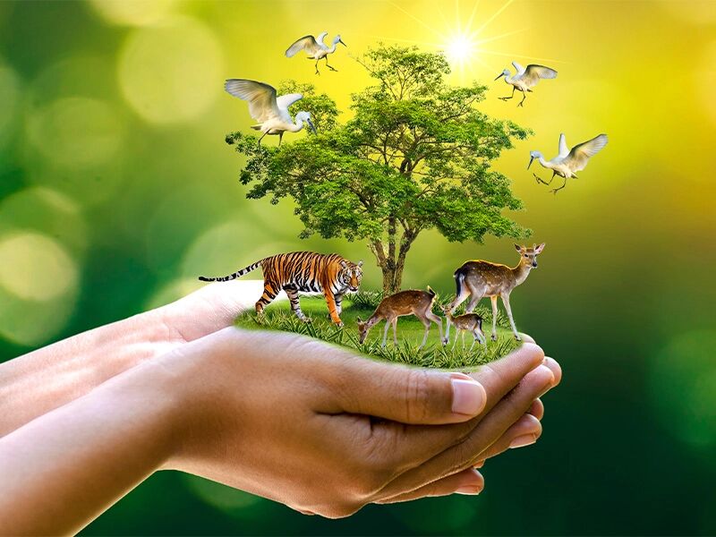 اقدامات دولت سیزدهم برای حفظ تنوعزیستی