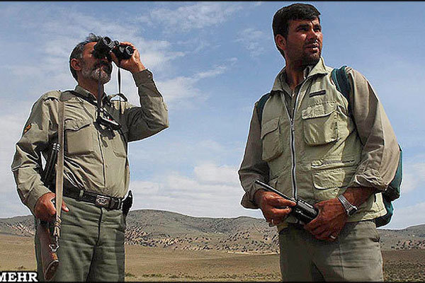 اقدامات مجلس جهت حمایت بیمهای و قضایی از محیطبانان