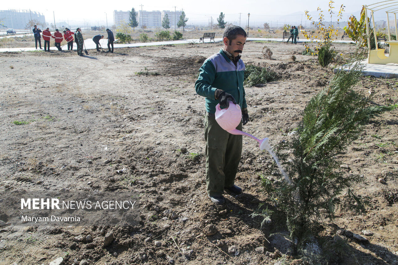 اماواگرهای طرح میلیاردی کاشت درخت/ مسوولان و تشکلها چهمیگویند؟