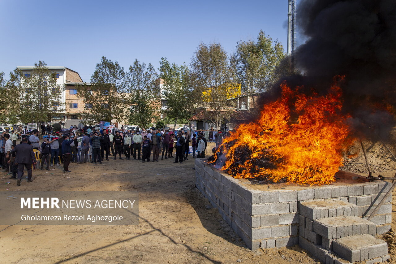 امحا ۱۴۰۰ کیلوگرم مواد مخدر در مازندران