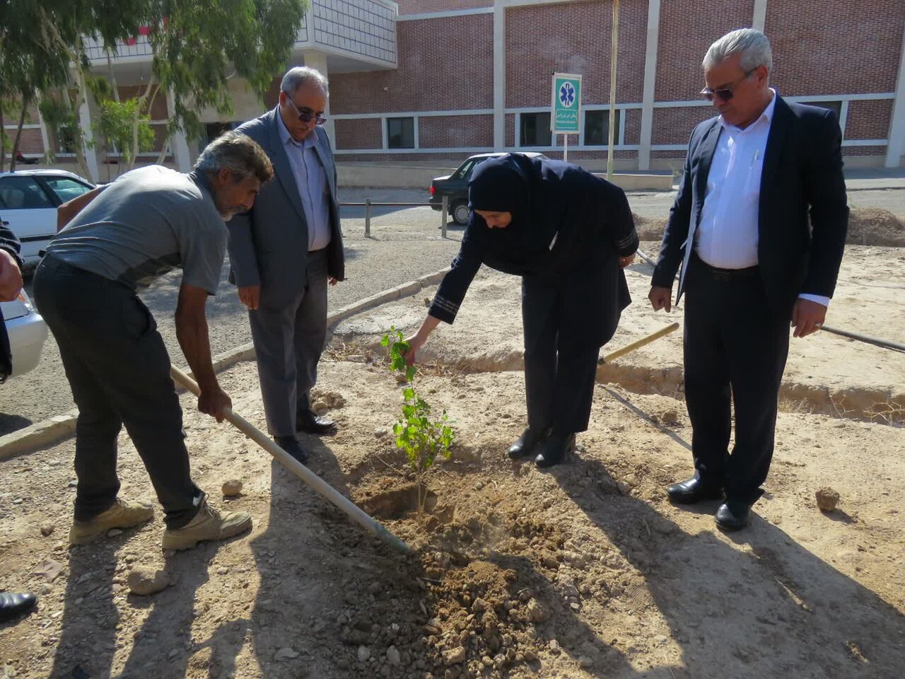 انجام پویش درختکاری به مناسب روز پرستار در بیمارستان کوثر سمنان