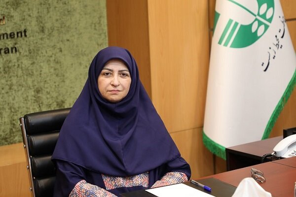 انصاری: آیین‌نامه‌های محیط زیستی برنامه هفتم نهایی شده است