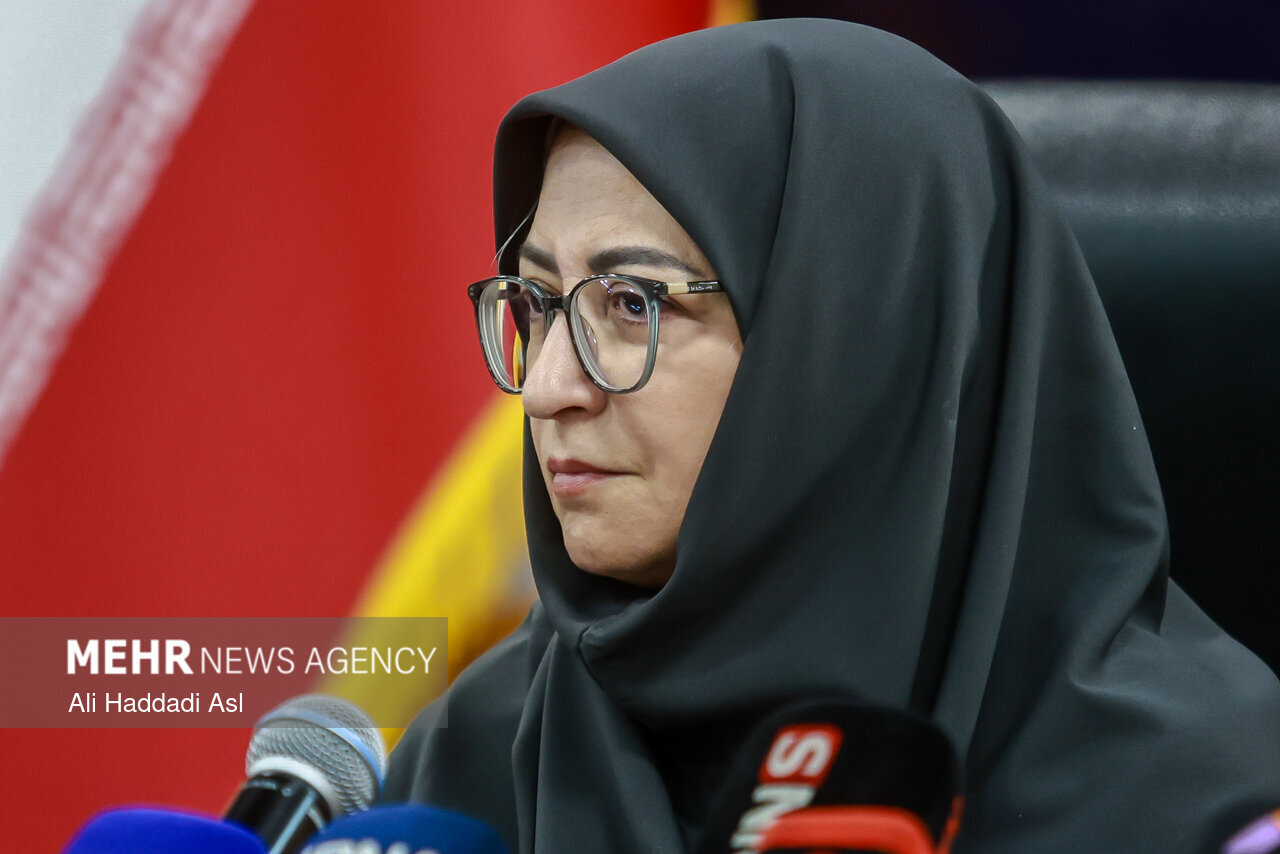 انصاری: عزم ملی برای مقابله با ریزگردهای سیستان ضروری است