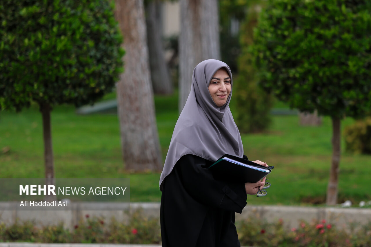 انصاری: ۲۷ پروژه برای احیای دریاچه ارومیه تعریف شده است