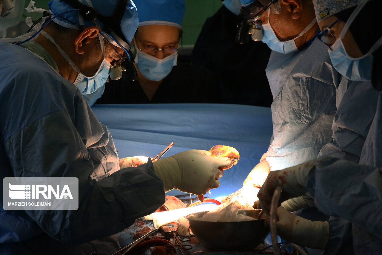 اهدای عضو در ۴ ماه اول سال ۳۰ درصد رشد داشته است